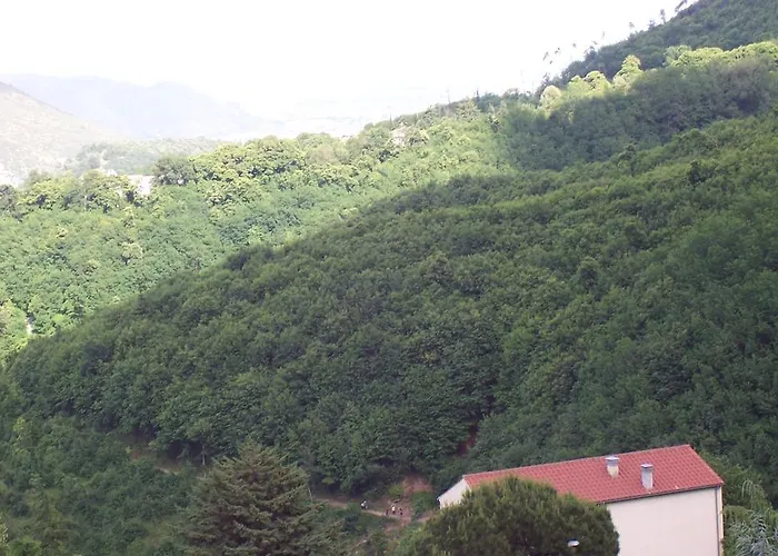 Ilys 卡瓦德蒂雷尼